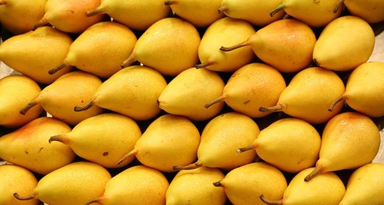 Rows of pears